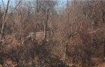 Former railroad bridge part of the Pennypack trail now